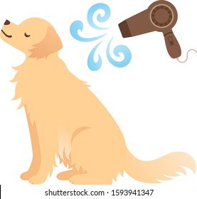 Illustration of a dog being blown by a hair dryer