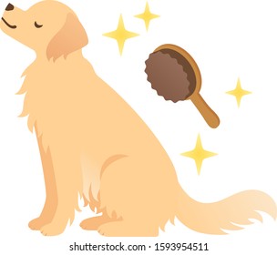 Illustration of a dog being brushed and getting beautiful