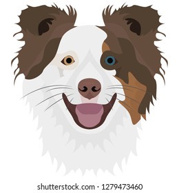 Illustration Dog Border Collie for the creative use in graphic design