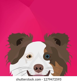 Illustration Dog Border Collie looking over wall for the creative use in graphic design