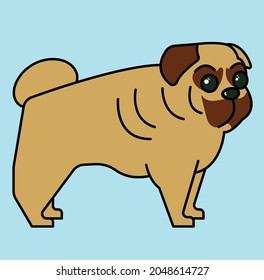 illustration of a dog breed pug for children