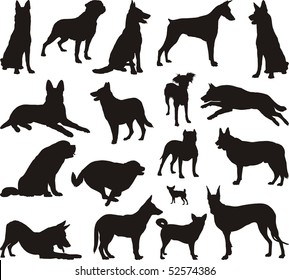 Illustration of dog breeds, black vector