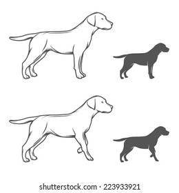 Illustration of a dog in different poses isolated on white background