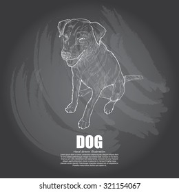 illustration of dog. drawing vector on chalkboard.