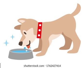 Illustration of a dog drinking water