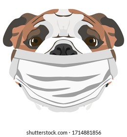 Illustration dog English bulldog with respirator 
