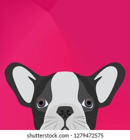 Illustration Dog French bulldog looking over wall for the creative use in graphic design