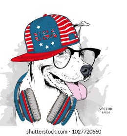 Illustration of dog in the glasses, headphones and in hip-hop hat with print of USA. Vector illustration.