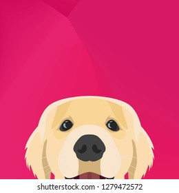 Illustration Dog Golden retriever looking over wall for the creative use in graphic design