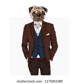 Illustration of dog hipster dressed up in jacket, pants and sweater. Vector illustration