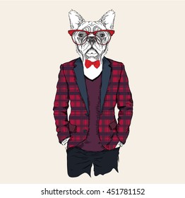 Illustration of dog
 hipster dressed up in jacket, pants and sweater. Vector illustration