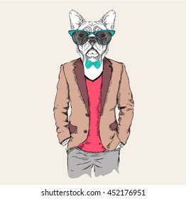 Illustration of dog hipster dressed up in jacket, pants and sweater. Vector illustration