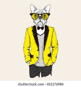 Illustration of dog hipster dressed up in jacket, pants and sweater. Vector illustration