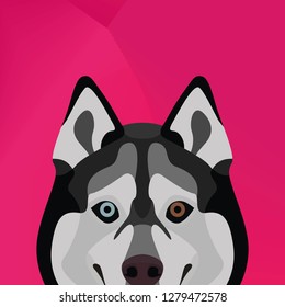 Illustration Dog Husky looking over wall for the creative use in graphic design