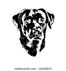 Illustration of dog, labrador retriever