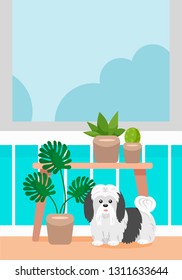 Illustration of a dog the Lhasa Apso and potted flowers on the shelf by the window cactus succulents monstera