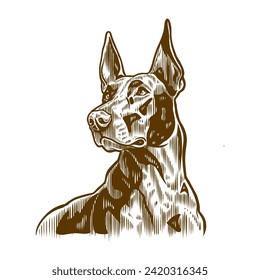 illustration of a dog with old engraving style	
