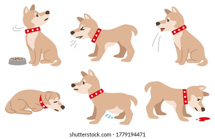 Ilustración de un perro con condición física como filariasis en un fondo blanco