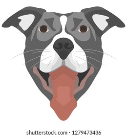 Illustration Dog Pitbull for the creative use in graphic design