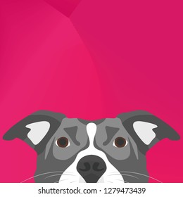 Illustration Dog Pitbull looking over wall for the creative use in graphic design