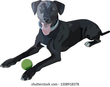 Illustration of dog. Pointer. Vector, EPS10