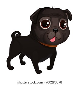 Illustration of dog pug breed. Black pug.