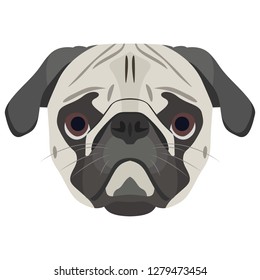 Illustration Dog pug for the creative use in graphic design