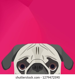 Illustration Dog pug looking over wall for the creative use in graphic design