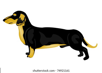 Illustration of the dog rate on white background