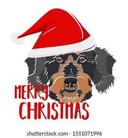 Illustration dog Rauhaardackel Merry Christmas
