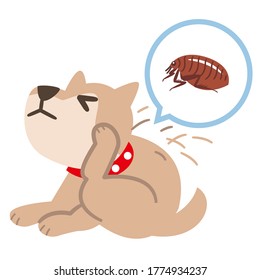 Illustration of a dog scratching his body with a flea