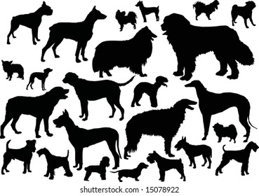 illustration with dog silhouettes isolated on white background