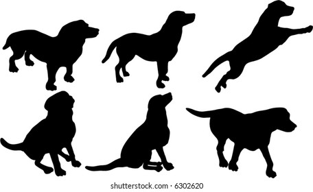 illustration with dog silhouettes isolated on white background