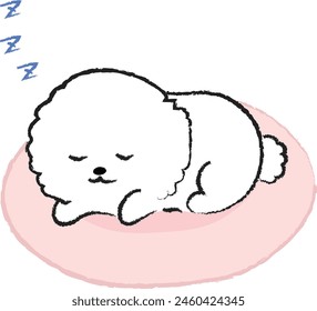 Illustration of a dog sleeping on the bed Bichon Frize