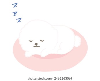 Illustration of a dog sleeping on the bed Bichon Frize