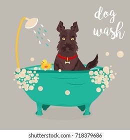 Illustration of a dog taking a shower. Can be used for advertising of dog service