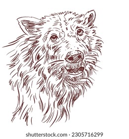 Illustration of a dog vector for card, decoration, background