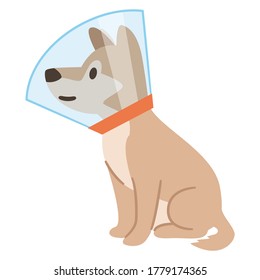 Illustration of a dog wrapped in Elizabeth collar on a white background