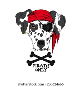 illustration of doggy pirate