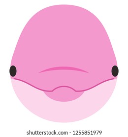 Illustration of the dolphin