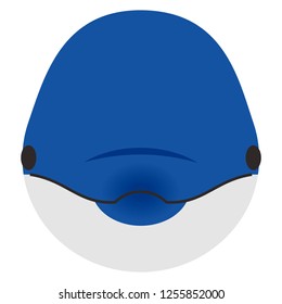 Illustration of the dolphin
