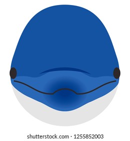 Illustration of the dolphin