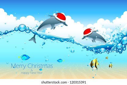 9,488 Christmas underwater Images, Stock Photos & Vectors | Shutterstock