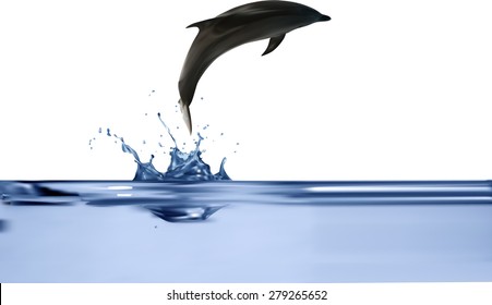 illustration with dolphin jumping from water isolated on white background