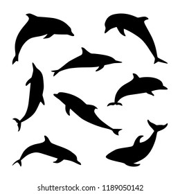 Illustration with dolphins collection isolated on white background. Black silhouettes of dolpins.