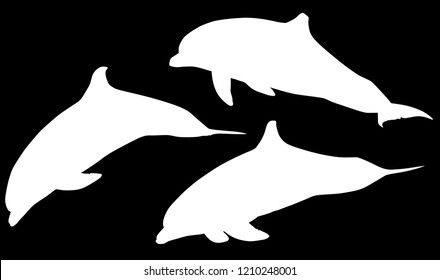 illustration with dolphins collection isolated on black background