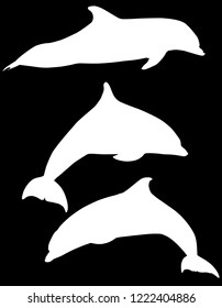 illustration with dolphins collection isolated on black background