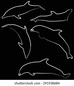 illustration with dolphins collection isolated on black background