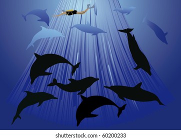 illustration with dolphins and diver