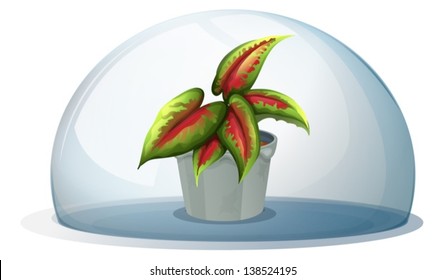 Illustration of a dome with a plant inside a gray pot on a white background